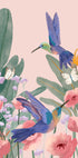 Hummingbirds (NEW) - Posterbox