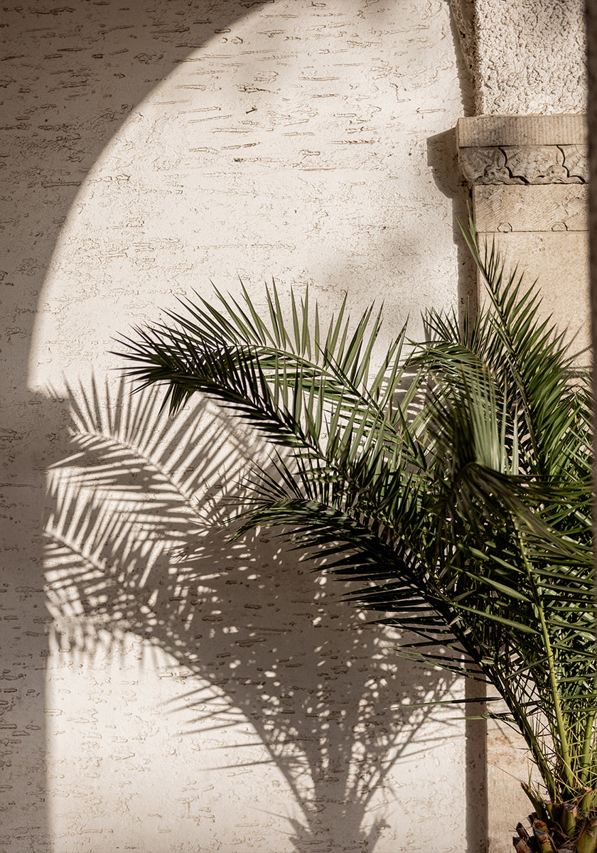 Arched Light 2 (NEW) - Posterbox