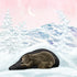 Wintersleep Poster - Posterbox