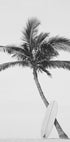 Palm Surfboard (NEW) - Posterbox