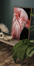 Flamingo Hide In Their Feathers Poster - Posterbox.dk