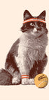 Chat Tennis Plakat - Posterbox