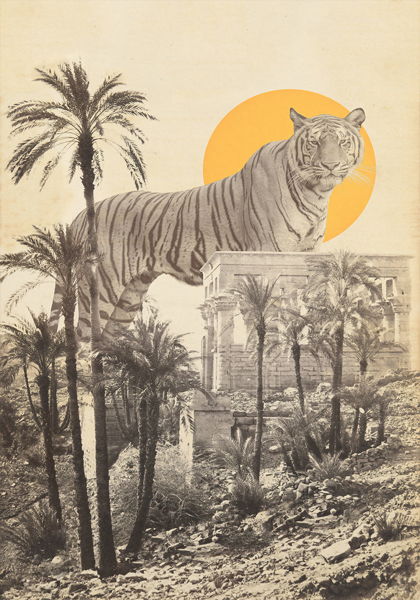 Giant Tiger In Ruins - Posterbox