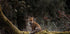 Fuchs im Wald Poster - Posterbox.dk