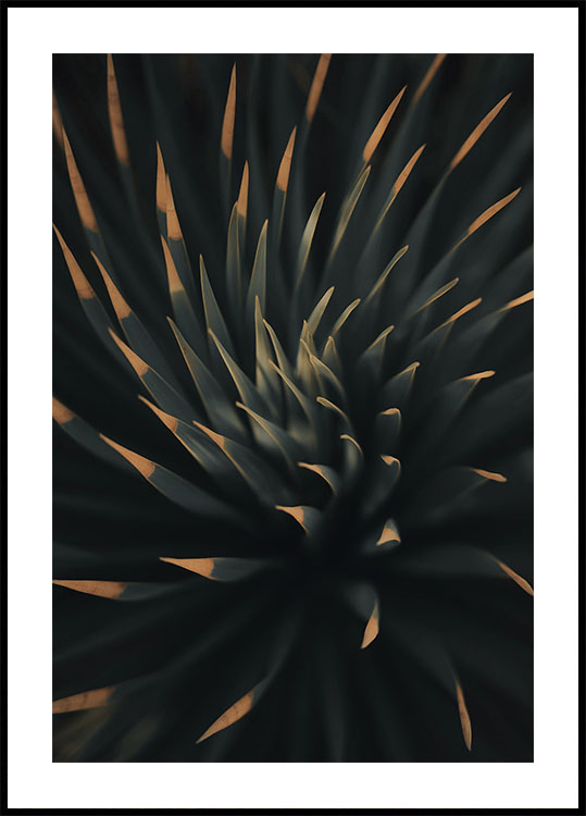 Poster mit spiralförmiger Pflanzenstruktur - Posterbox.dk