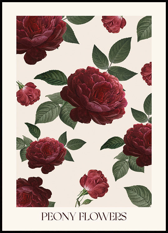 Pfingstrosen-Blumen-Poster - Posterbox.dk