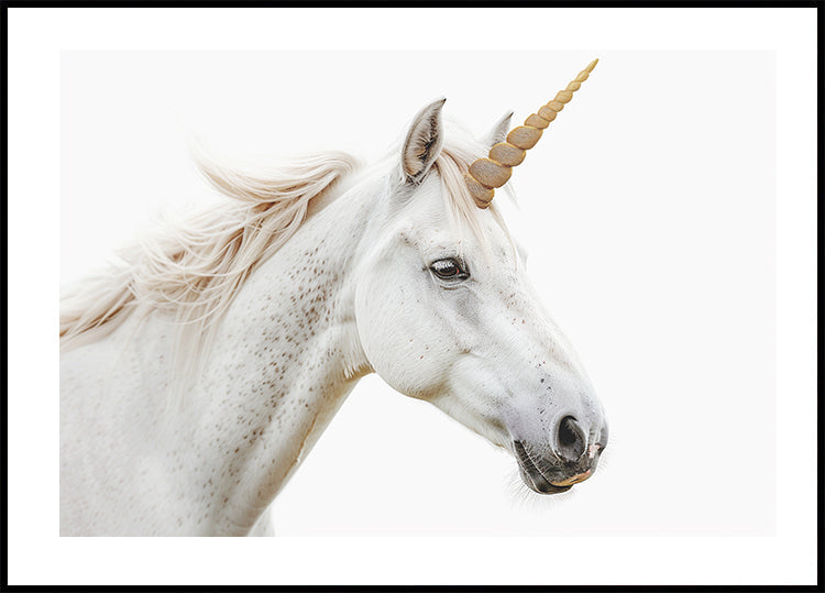Einhorn-Poster - Posterbox.dk