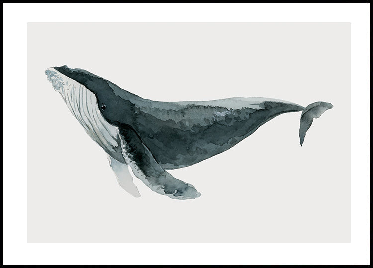 Aquarell-Wal-Poster - Posterbox.dk