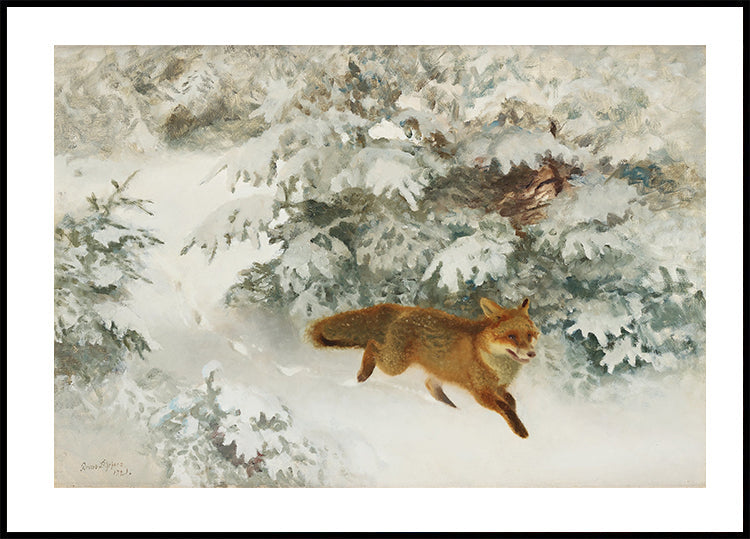Fuchs in der Winterlandschaft von Bruno Liljefors Nr. 1 Poster - Posterbox.dk