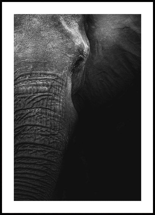 Elefanten-Poster - Posterbox.dk