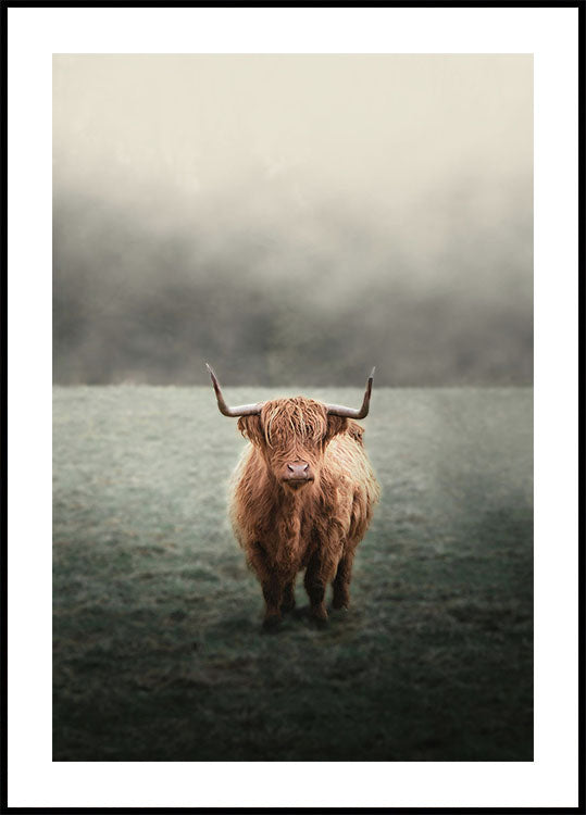 Yak im Feld Poster - Posterbox.dk