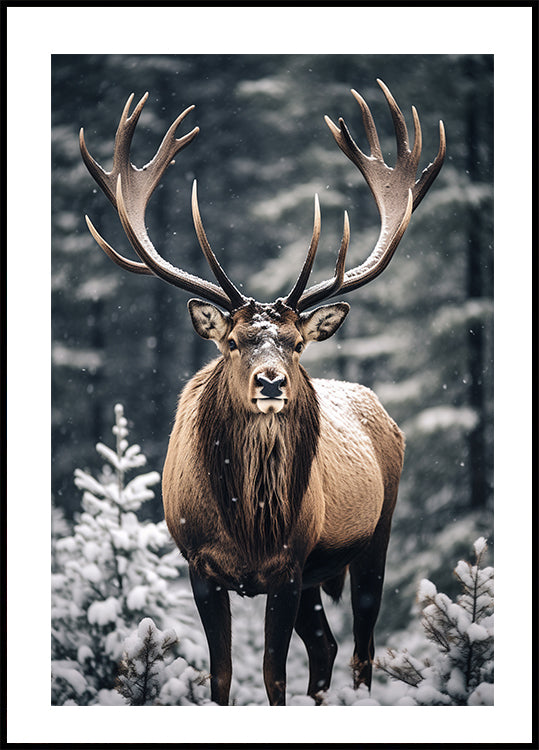 Poster Hirsch im Wald - Posterbox.dk