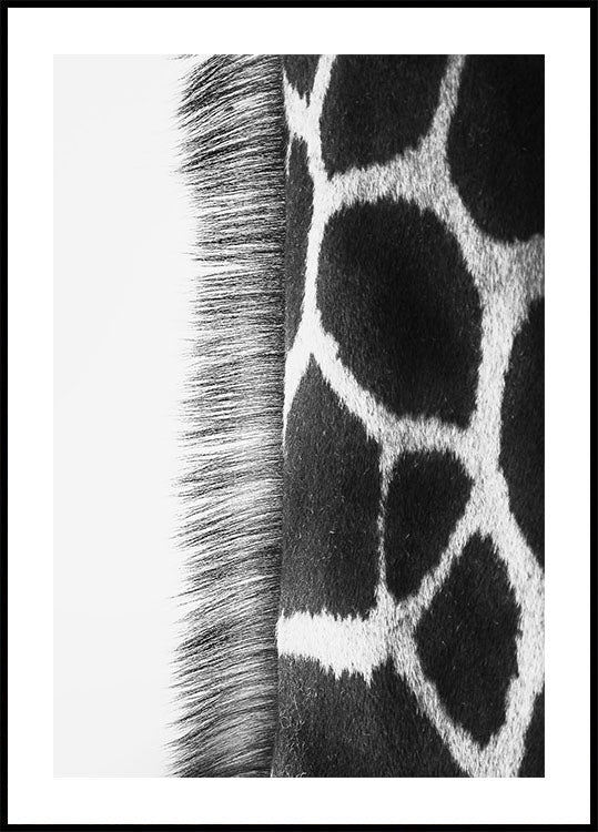 Giraffenhals-Poster - Posterbox.dk