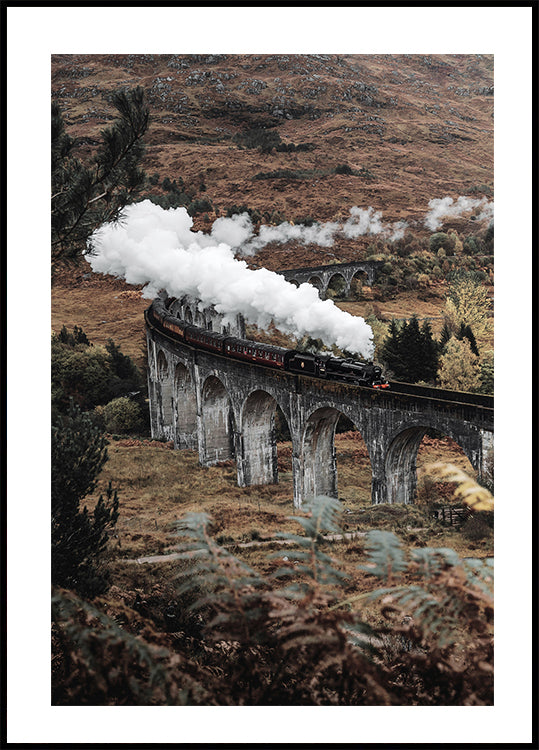 Dampfzug-Poster - Posterbox.dk