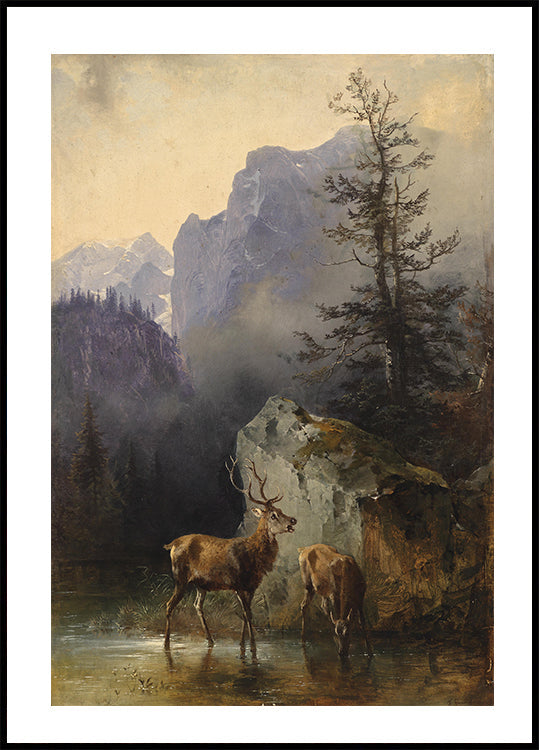 Hirsch und Tier An Der Tränke von Friedrich Gauermann Poster - Posterbox.dk