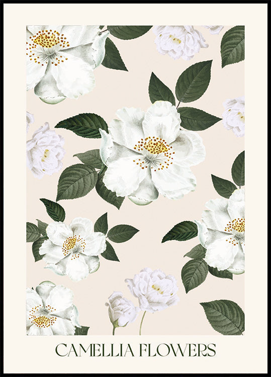 Poster mit Kamelienblüten - Posterbox.dk