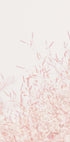 Gras-Poster - Posterbox.dk