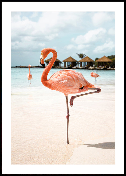 Pink Flamingo (NEW) - Posterbox
