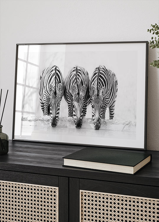 Zebras Plakat - Posterbox