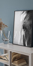 Pferdeauge-Poster - Posterbox.dk