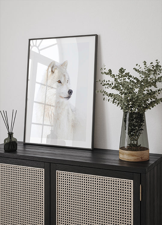 Portrait of an Arctic Wolf Plakat - Posterbox