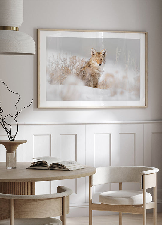 Coyote sitting on the snow Plakat - Posterbox