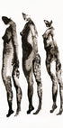 Figure Study 3x - Posterbox