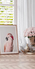 Pink Cockatoo - Posterbox