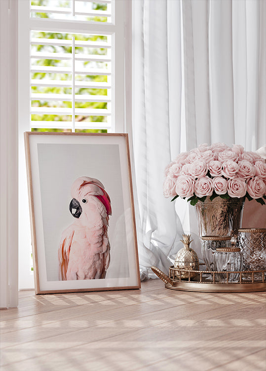 Pink Cockatoo - Posterbox