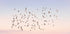 Sunset Flight Plakat - Posterbox