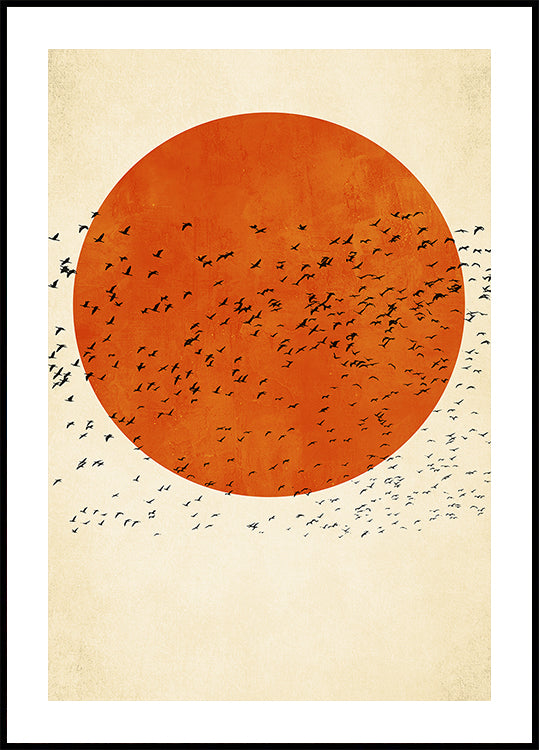Birds In the Sun Plakat - Posterbox