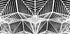 Enter the web Plakat - Posterbox