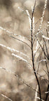 A Winter Morning 5 Plakat - Posterbox