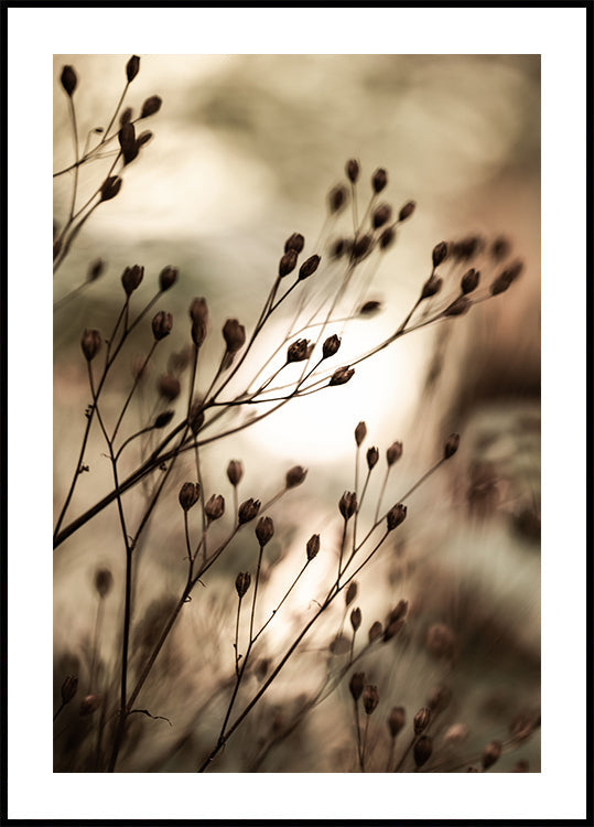 Autumn Lights - Posterbox