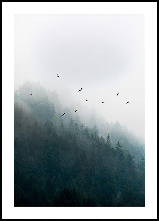 Foggy Morning 4 Plakat - Posterbox