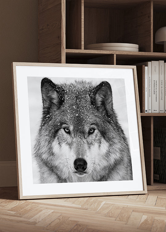 Wolf Portrait Plakater - Posterbox