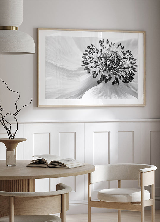 Anemone - Posterbox