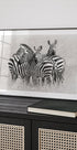 Zebras - Posterbox