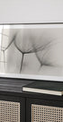 Tragopogon - Posterbox