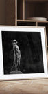 The meerkat Plakat - Posterbox