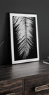 Palmblad No.4 Plakat - Posterbox