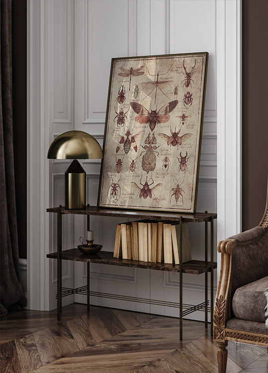 Vintage-style  Insects Plakat - Posterbox