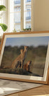 Cheetahs Family Plakat - Posterbox