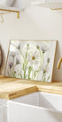 Cape Daisies Plakat - Posterbox
