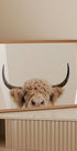 Peeking Cow Plakat - Posterbox