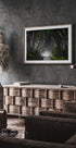 DARK HEDGES - Posterbox