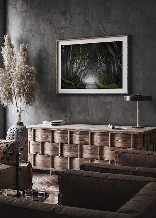 DARK HEDGES - Posterbox