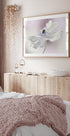Anemone breeze Plakat - Posterbox