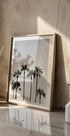 Palm Trees 5 Plakat - Posterbox