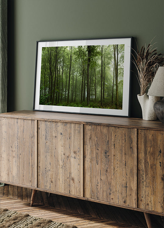 Forest... - Posterbox